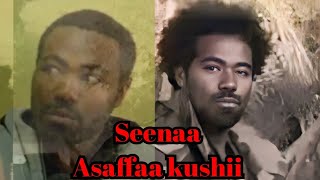 Seenaa asaffaa kushii [upl. by Laddie]