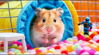 🐹 Hamster Escapes the Most Biggest Minecraft Maze 🐹 Hamster Maze [upl. by Camilla]