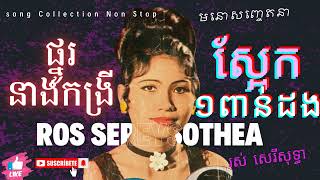 Ros Sereysothea song Collection Non Stopផ្នូរនាងកង្រី ស្អែក១ពាន់ដង រស់ សេរីសុទ្ធា សុទ្ធ [upl. by Aerdnuahs428]