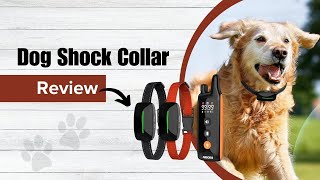 Training Made Easy AIBORS Dog Shock Collar  Review [upl. by Neri]