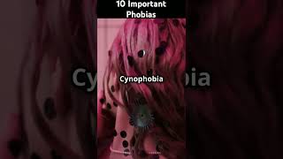 Important Phobiasphobia vocabulary englishvocabulary shortvideo shortsfeed shorts shortsviral [upl. by Atiuqal]