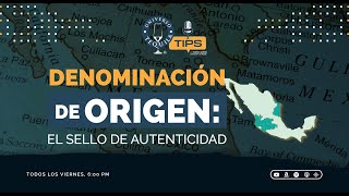 EP 24  Denominación de Origen El Sello de Autenticidad  TEQUILA TIPS [upl. by Annohsak]