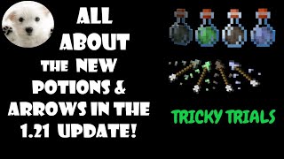 New potions in Minecraft [upl. by William]