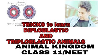 TRICKS to learn DIPLOBLASTIC and TRIPLOBLASTIC ANIMALSANIMAL KINGDOMCLASS 11NEET [upl. by Enomor]