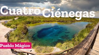 Que hacer en Cuatro Ciénegas pueblo mágico de Coahuila y la poza azul [upl. by Annonyw]