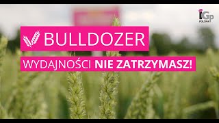 🌱 Pszenica ozima BULLDOZER [upl. by Darcey]