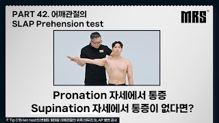 Part 42 어깨관절의 SLAP prehension test 📌MRS 재활 트레이너를 위한 ONE STOP EDUCATION [upl. by Yelsnik]