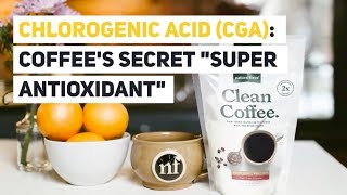 Chlorogenic Acid CGA Coffees Secret quotSuper Antioxidantquot [upl. by Wolenik]