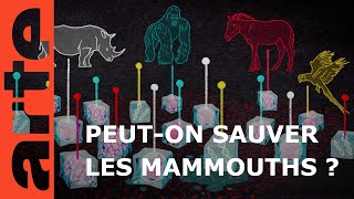 Et si on ressuscitait les mammouths   42 la réponse à presque tout  ARTE [upl. by Arualana]