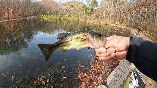 Fishing Bass Hanging with Friends Living the Dream  Grants Adventure Episode 868 [upl. by Lihp516]