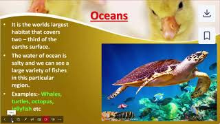 ADAPTATION AND HABITAT OF ANIMALS PART 2 FOR CLASS 5 [upl. by Abisha]