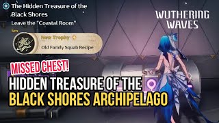 Secret Chest You Definitely Missed in the Black Shores Archipelago  Wuthering Waves [upl. by Pernell741]