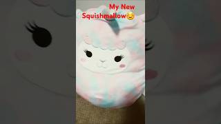 My New Squishmallow [upl. by Oramlub]