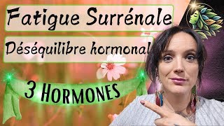 Fatigue Surrénalienne  Le Déséquilibre Hormonal Qui Affecte Votre Énergie et Comment y Remédier [upl. by Hoffarth]