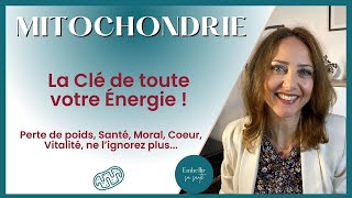 Comment la Mitochondrie Influence Notre Énergie et Notre Santé Biologie Cellulaire [upl. by Adnilem]