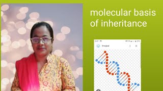 molecular basis of inheritancesikhabiologyclasses bio neet biology biologyclass12 science [upl. by Atig147]