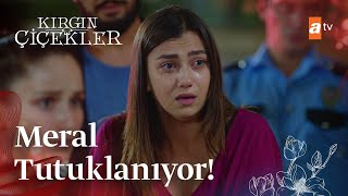 Meral tutuklanıyor  Kırgın Çiçekler Mix Sahneler [upl. by Ettennor611]