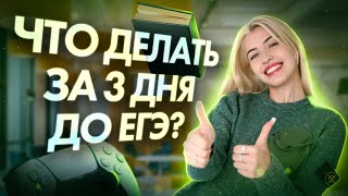 Что делать за 3 дня до ЕГЭ  Русский с Верой ЕГЭ Flex [upl. by Sadick]