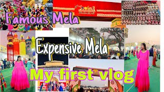 First vlog  Toshali Expensive Mela visit  Last Mela Exploring 2023 national crafts youtube [upl. by Borer]