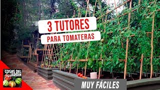 COMO GUIAR TOMATES Y ENTUTORADO  FACIL Y ECONOMICO ft en20metros [upl. by Tomchay381]