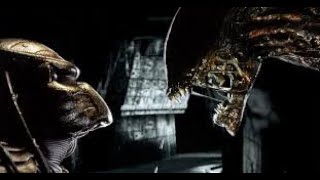 a new Alien vs Predator film could be happening [upl. by Lramaj]