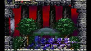 Castlevania SotN Saturn Boss 18 Skeleton King Extra Boss  No Damage No Subweapons [upl. by Rebhun]