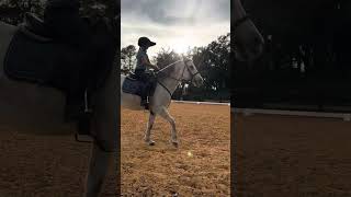 First dressage test raw [upl. by Bristow]