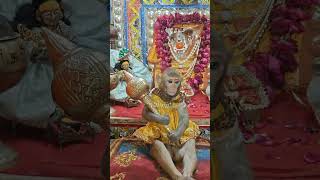 5 लॉन्ग से करें अचूक उपाय बागेश्वर बाबाbageshw upay shortsvideo baba Bageshwar Dham [upl. by Seavir]