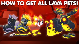 🔥HOW TO GET ALL 5 LAVA PETS IN ADOPT ME👀🔥EXPLAINED ZEBRA BAITS MUST WATCH ROBLOX [upl. by Einnos]