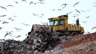 Landfill facts and statistics  A global problem [upl. by Kilgore]