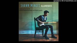 Shawn Mendes  Theres Nothing Holding Me Back Lyrics [upl. by Uni]