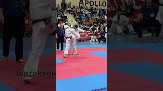 Bucharest Challenge Cup 2024 kyokushin karate knockout [upl. by Kai]