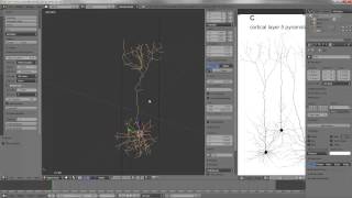 Creating Realistic Dendritic Structures with Blender [upl. by Eimar699]