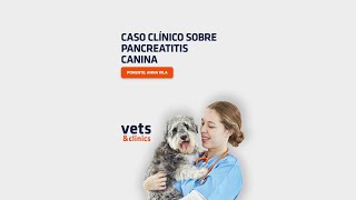 14 Clips4Vets Pancreatitis canina [upl. by Laresa]