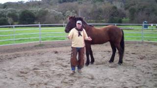 New Guy Horse LungingBody language Hooking Up Rick Gore Horsemanship [upl. by Felice915]