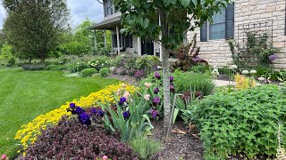 May 14 2024 Front Yard Garden Walkthrough  What In Blooming in 2nd Week of May  Ohio growing Zone [upl. by Akinit]