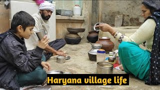 Haryana village life morning time daily routineIndian village lifevillage lifeindiarealbharat [upl. by Acie189]