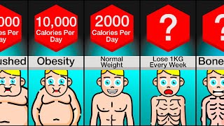 Comparison Your Body At  Calories Per Day [upl. by Artek774]