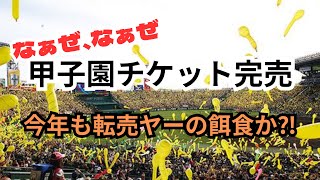 甲子園のチケット完売 今年も転売ヤーの餌食か！ [upl. by Carny454]