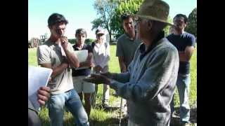 Visite Viticulture Alex PODOLINSKY DORDOGNE Juillet 2012 Part 9 Silice 501 [upl. by Virgel800]