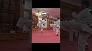 Ohan Dai Kata Teached by the Olympic Medallist arielkarate1 Part 10 [upl. by Atteroc471]