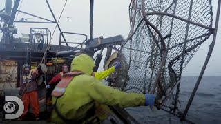 Pescadores encuentran sus jaulas para cangrejos destrozadas  Pesca Mortal  Discovery Latinoamérica [upl. by Aerdnac144]