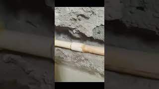 cpvc pipe repair👷👷shorts plumber [upl. by Eirual]