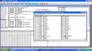 Cracken mit OllyDBG [upl. by Sucramd]