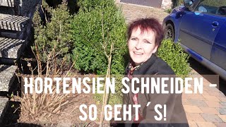 Hortensien schneiden  so geht´s [upl. by Gillett]