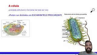 Curso de Bacteriologia aula 02 Célula procarionte [upl. by Erreid]