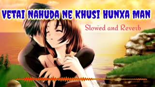 Vetai nahuda ne khusi hunxa Man  Euta sapana xaslowed amp ReverbLyfe Songs [upl. by Etak]