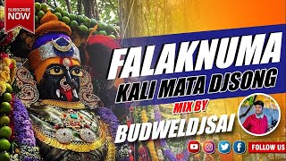 Falaknuma Kali Mata Dj Song  Chettu Kinda Dorasani  Old City Amruth Potharaju DjSong BUDWELDJSAI [upl. by Murray]