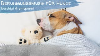 Entspannungsmusik für Hunde  Beruhigungsmusik  Relaxing music for dogs [upl. by Ahsead435]