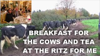 BREAKFAST FOR THE COWS amp TEA AT THE RITZ FOR ME [upl. by Preuss]